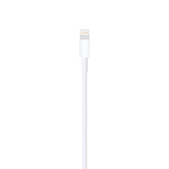 Apple Lightning to USB Cable - 2m