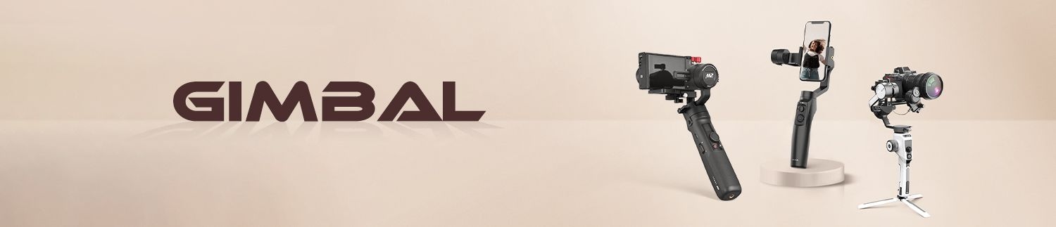 Gimbal-2-2755.jpg