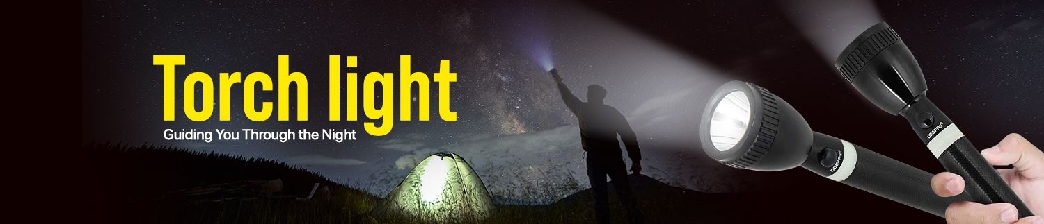 Torch-Light-7935.jpg