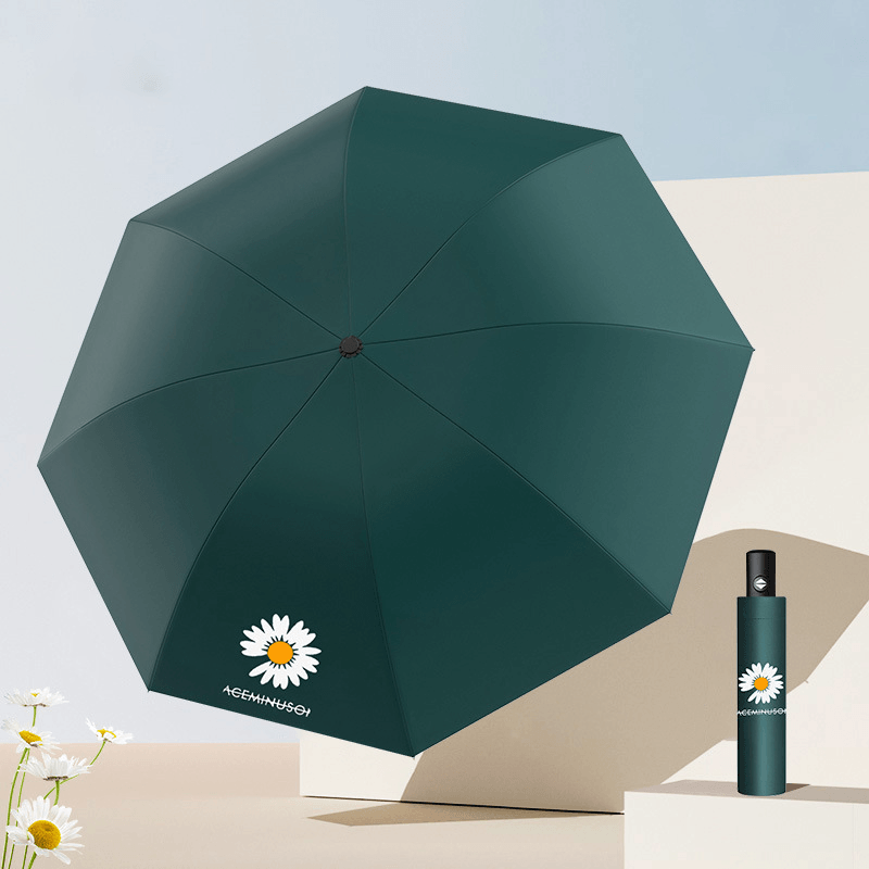 Daisy Shield Auto Umbrella