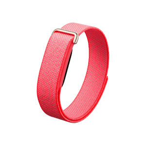 Google Fitbit Air