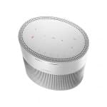 Bose Home Speaker 300