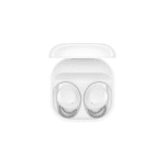 Galaxy Buds Core