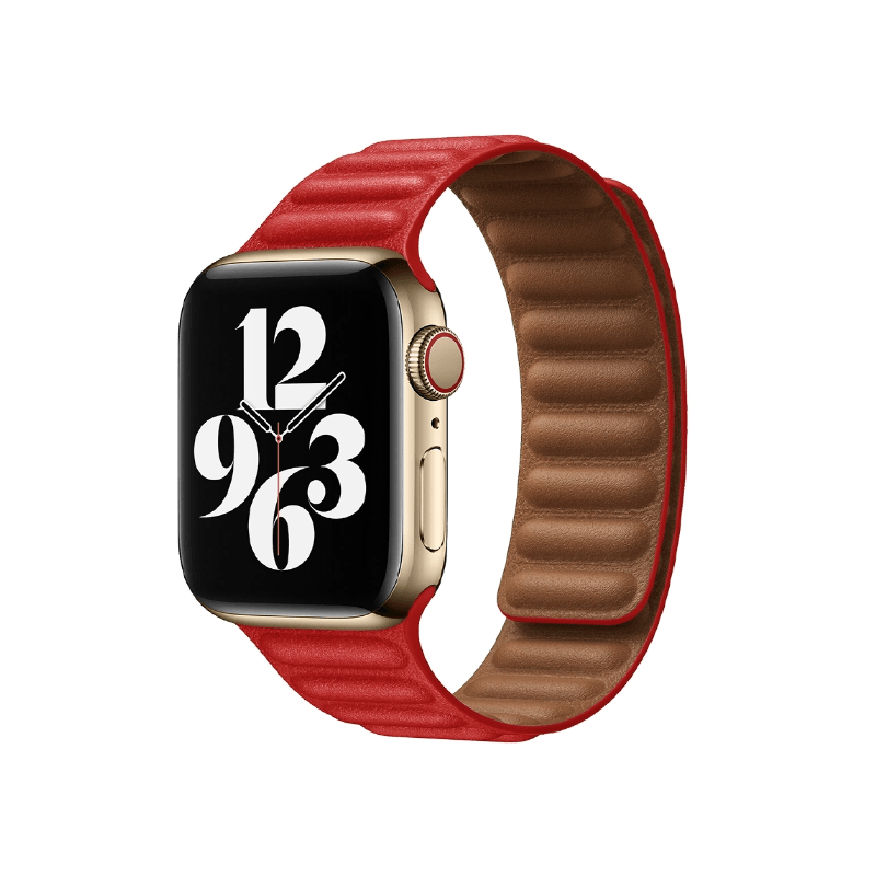 Coteetci Dual Magnetic Watch Band for iWatch