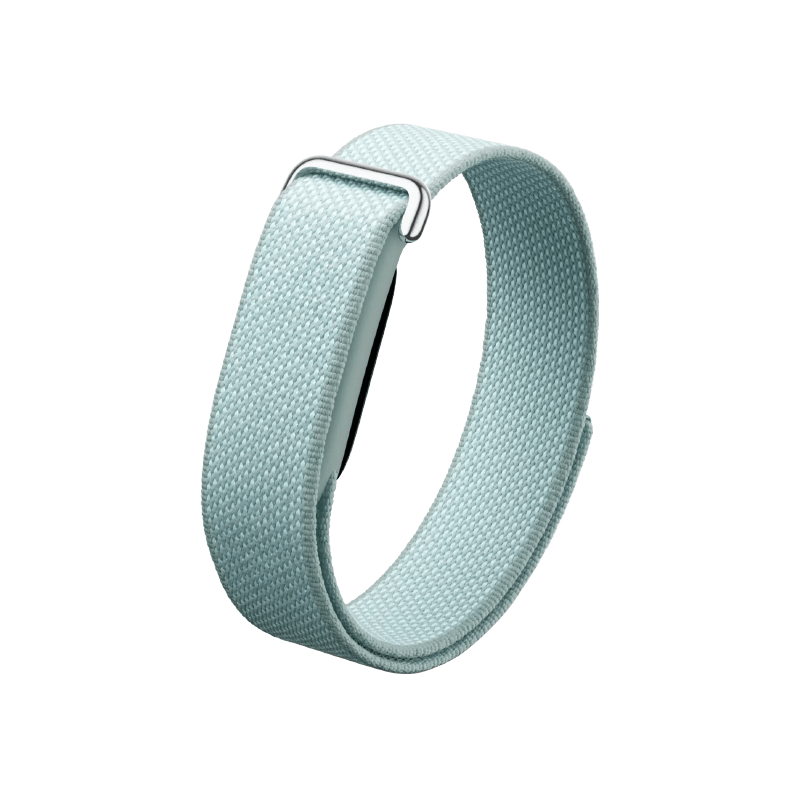 Google Fitbit Air