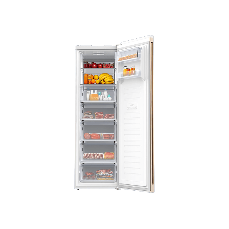 Minister Convertible Vertical Freezer - 336L