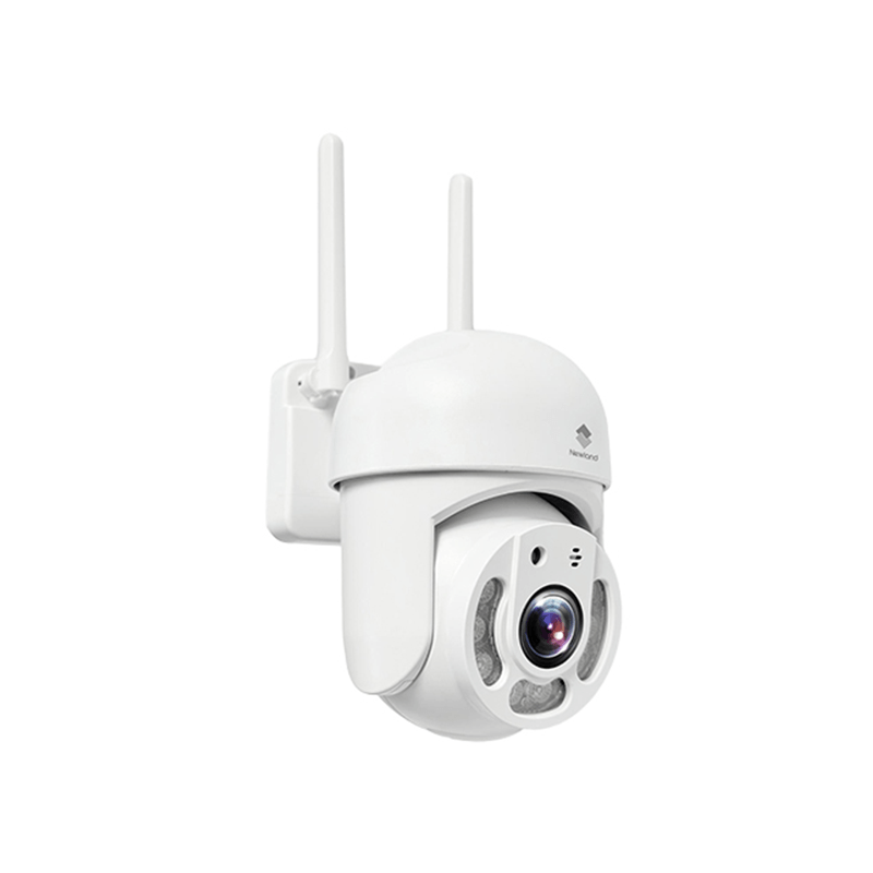 Newland NL-C604 3MP Outdoor Dome IP Camera